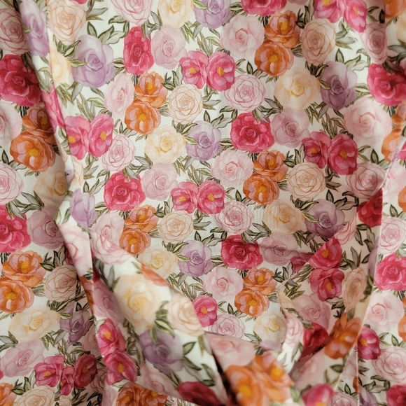 Rouje Marge Dress in Liberty Coven Rose size 34 NWT - Picture 7 of 11